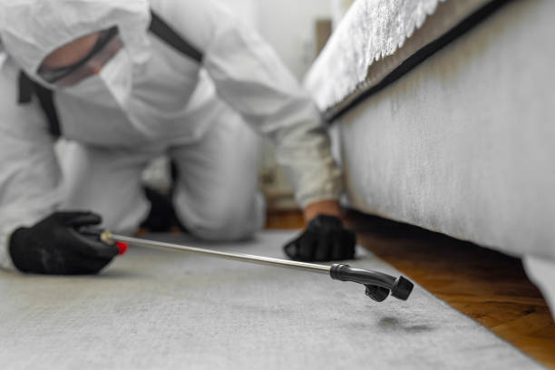 Professional Bed Bug Control technician working in Coeur d'Alene, ID