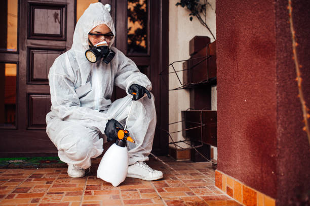 Reliable Bed Bug Control contractor in Coeur d'Alene, ID by Nex Pest Control