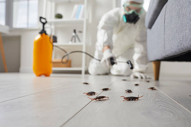 Trusted Emergency Pest Control service in Coeur d'Alene, ID - Nex Pest Control