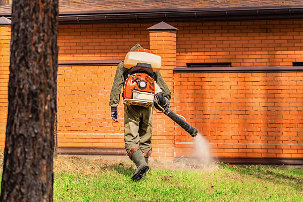 Trusted Cockroach Control service in Coeur d'Alene, ID - Nex Pest Control